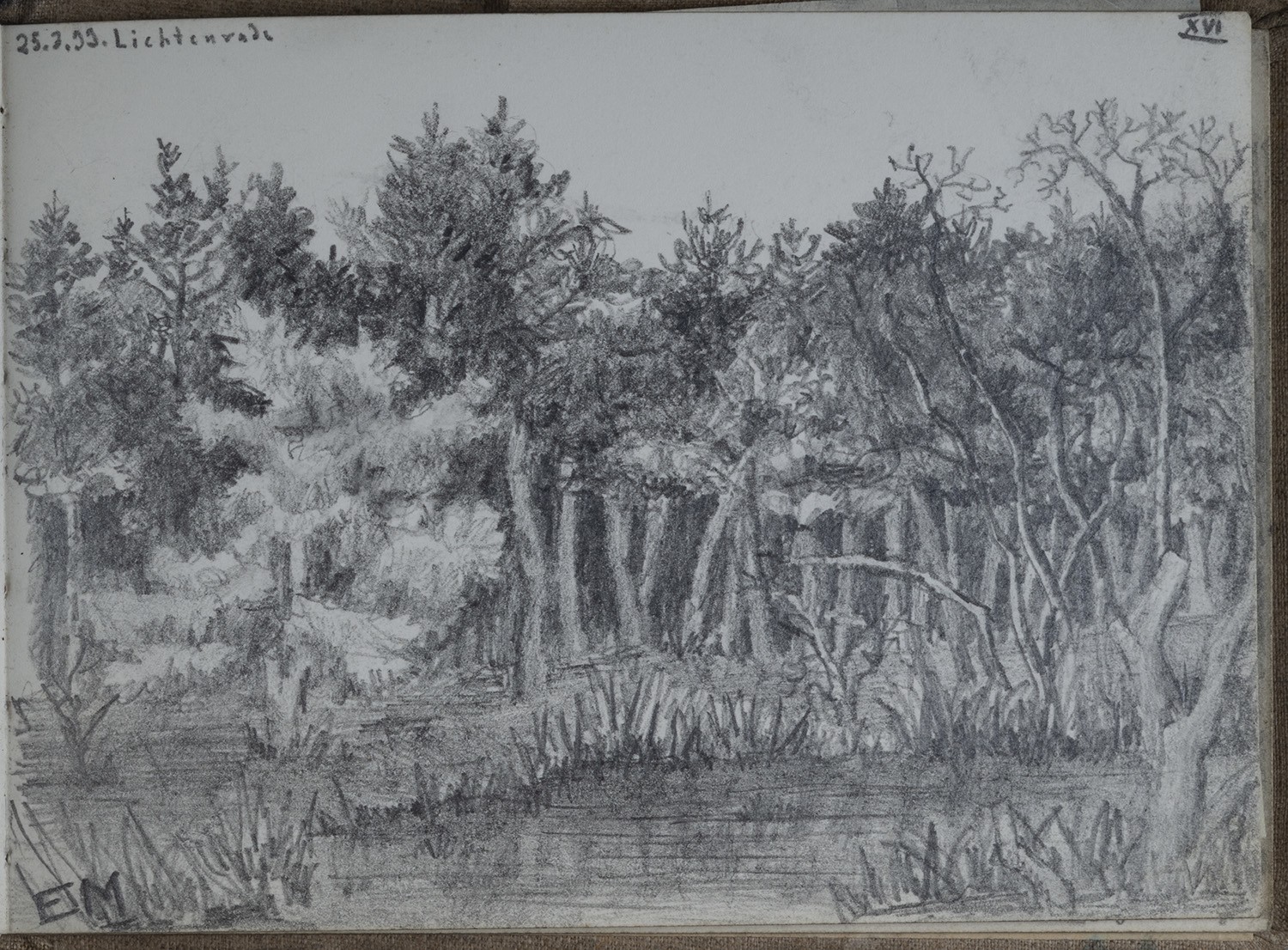 Ernst Morgenstern, Berlin-Lichtenrade: Bäume am Wasser (Skizzenbuch Ernst Morgenstern, Bl. XVI)