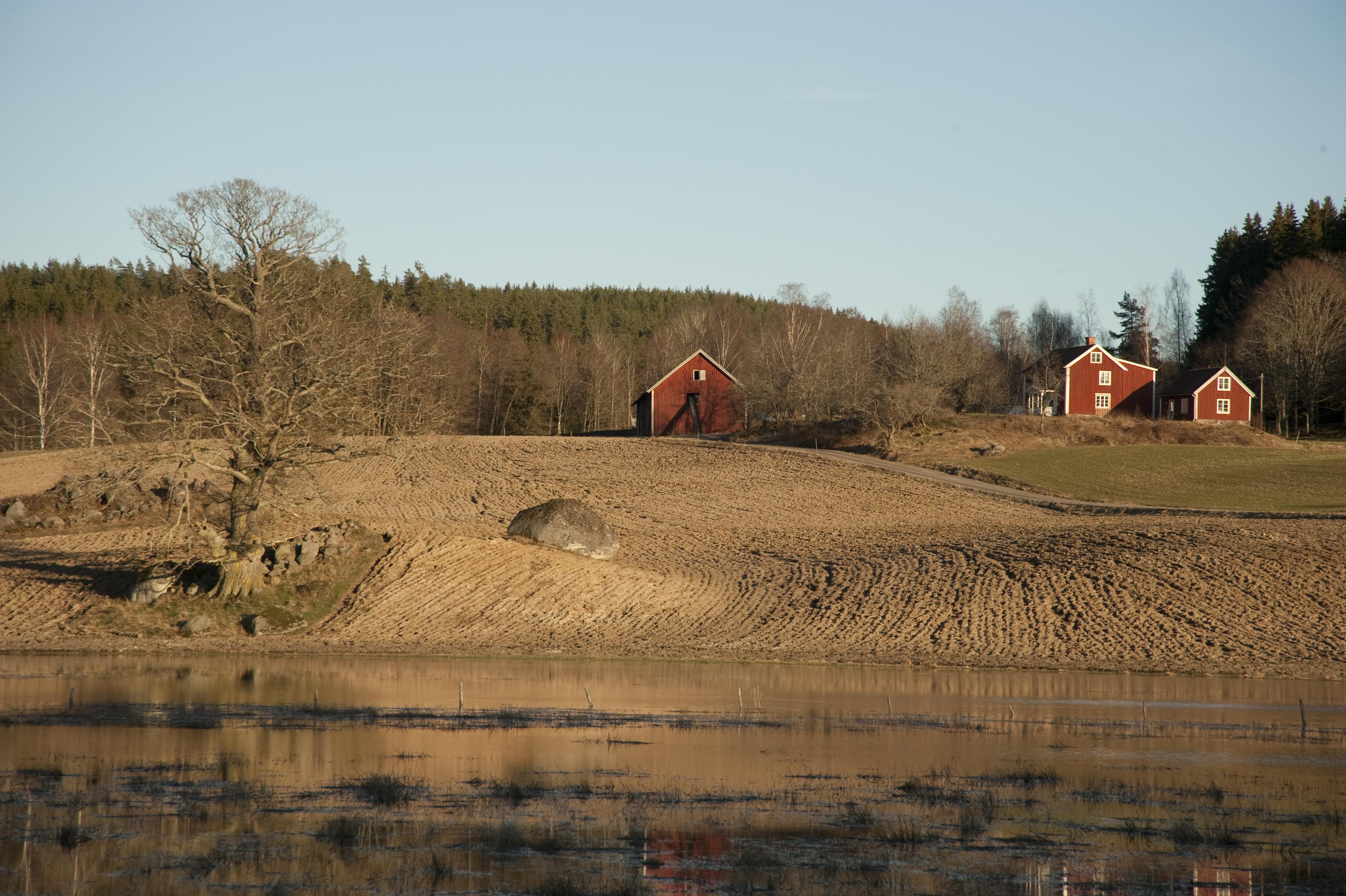 Bengt A Lundberg, Kisa