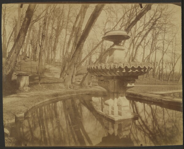 Eugène Atget, Parc de Saint Cloud (Saint Cloud Park)