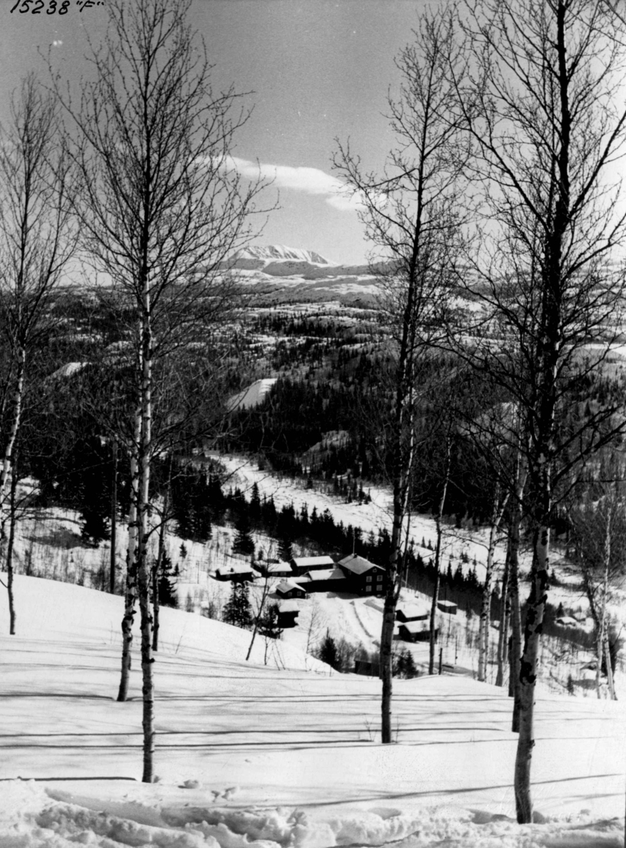 Anders Beer Wilse, Rjukan idrettsforenings skihytte Hjerdalskleiva ved Gaustatoppen. Hytter i tun