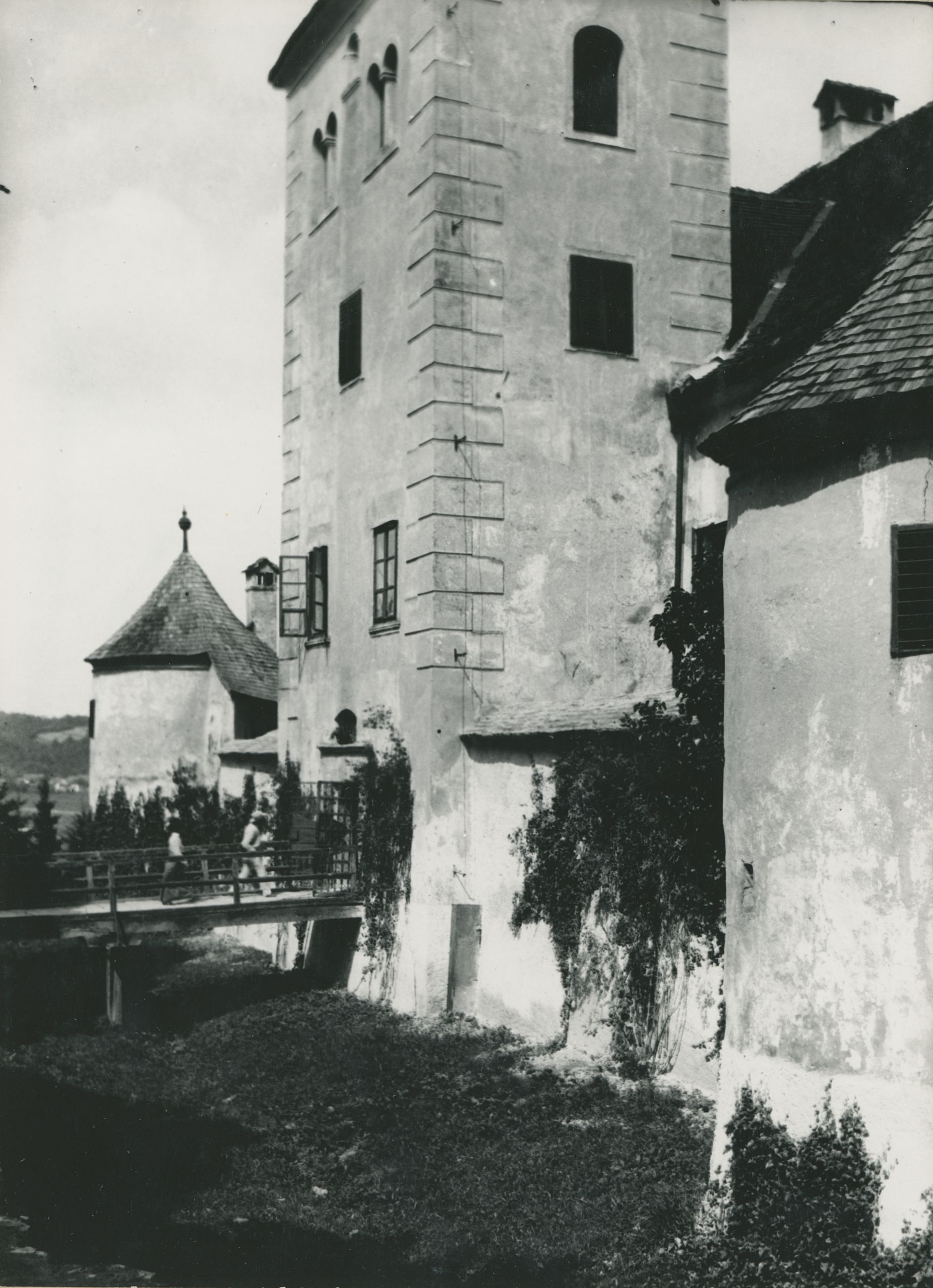 Gjuro Szabo, Bela (Novi Marof) - dvor I