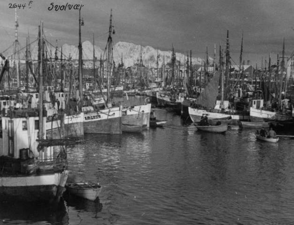 Anders Beer Wilse, -6838