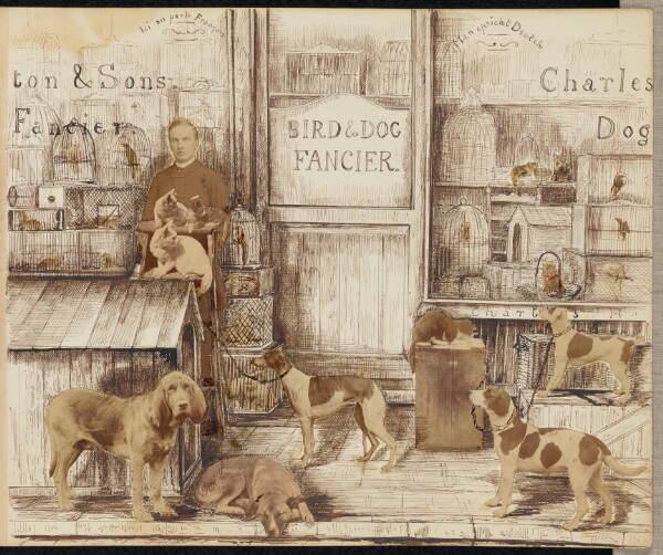 Unknown, [Bird and Dog Fancier]
