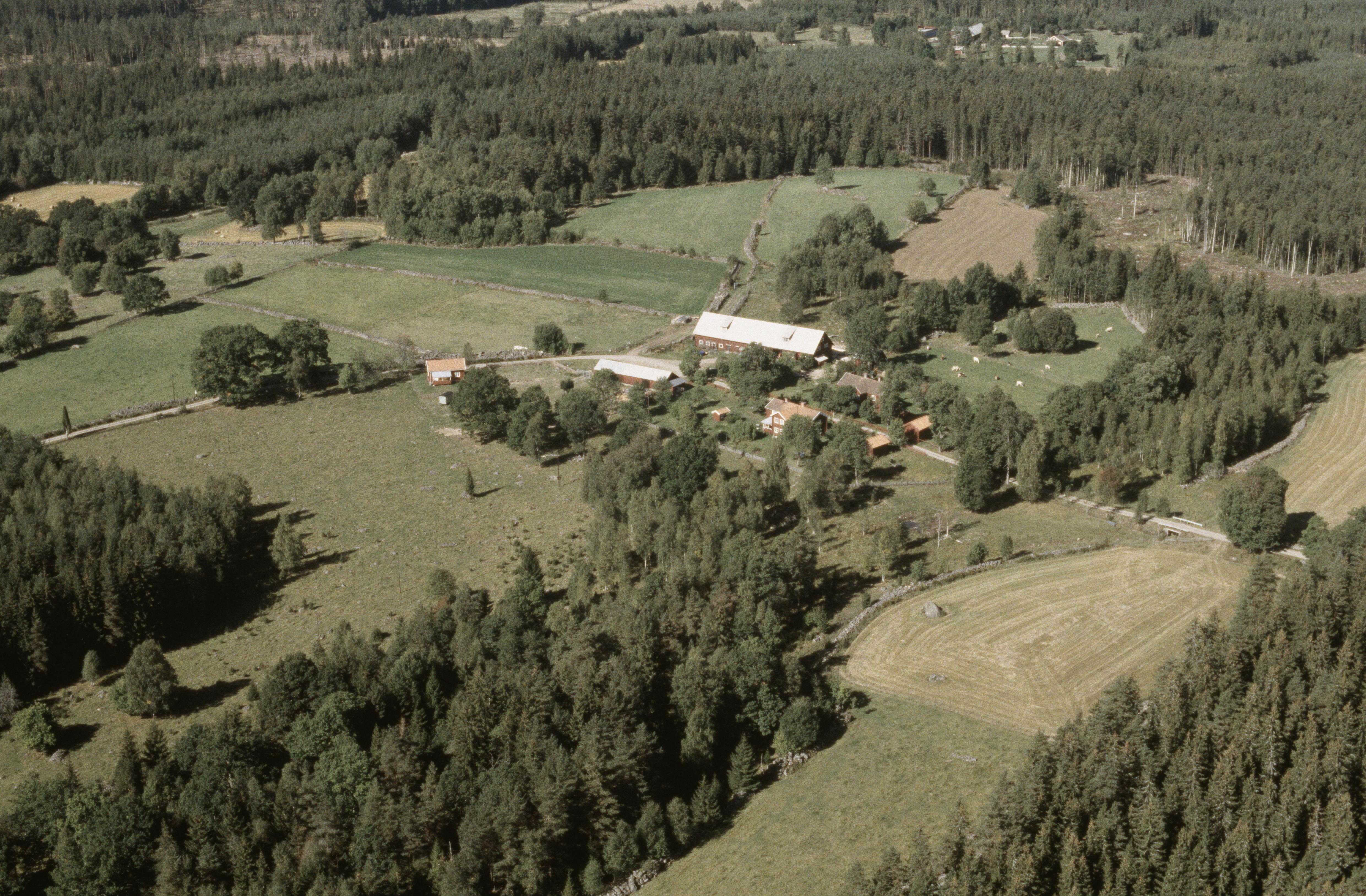 Jan Norrman, Hultåkra