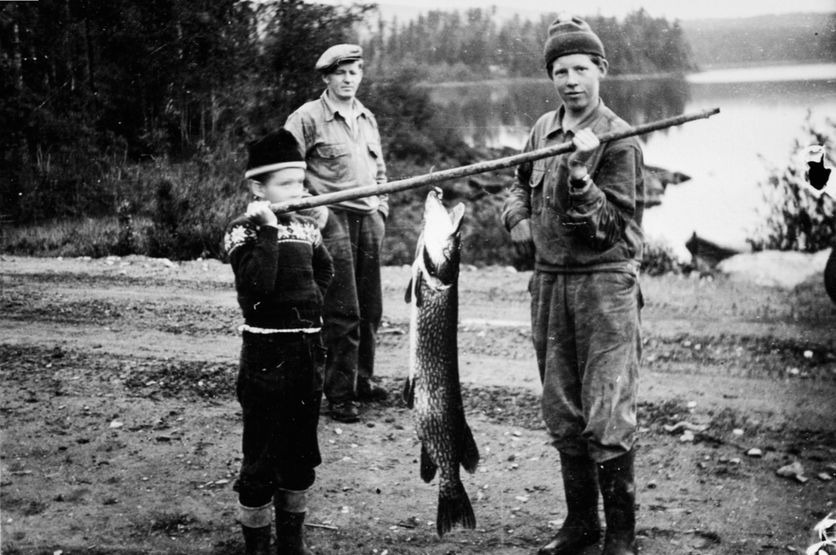 Anno Domkirkeodden, Gjeddefangst på Næra ved Steinshullet. JEDDEFANGST, 2 gutter med fisken mellom seg. Thor Løkken, Thorald Løkken, Odd Løkken.