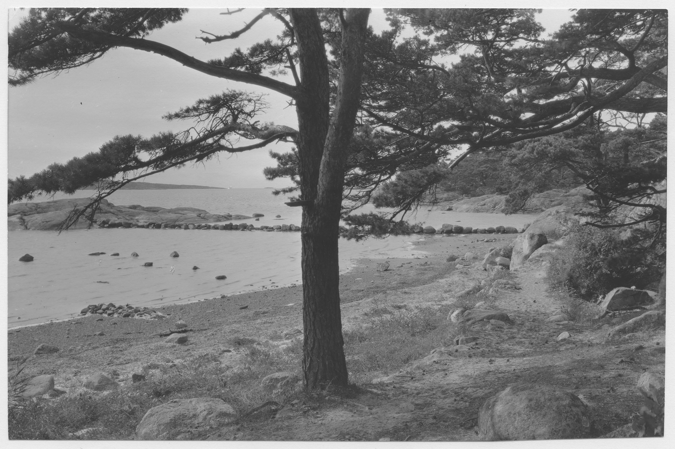 Mårten Sjöbeck, Särö, stränder