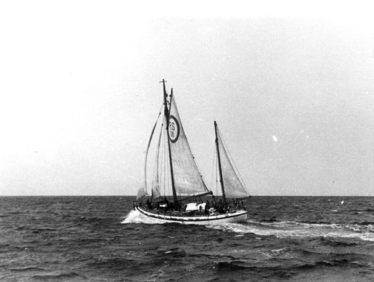 Anders Beer Wilse, Lofotfiske