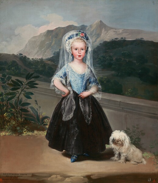 Francisco Goya, María Teresa de Borbón y Vallabriga, later Condesa de Chinchón