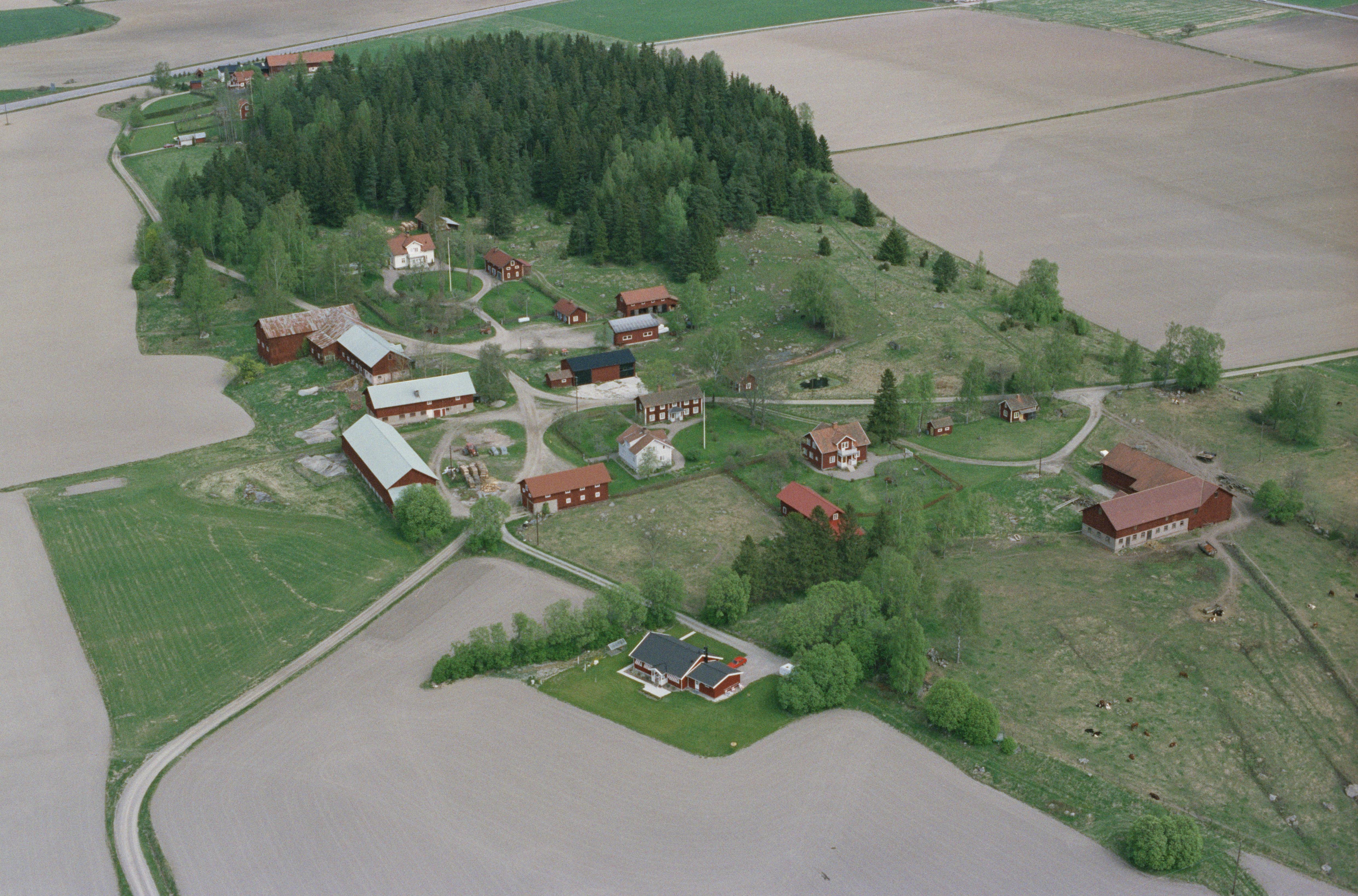 Jan Norrman, Munktorp 132:1