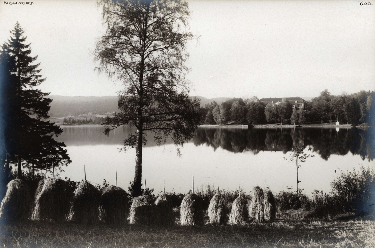 Hermann Christian Neupert, Landskap. Bogstad, Oslo. Oversiktsbilde med Bogstad gård i -bakgrunnen. Oversiktsbilde. Bogstadvannet i mellomgrunnen, i forgrunnen jorde med rad av høystakker. Skog i bakgrunnen. Fot. H.C. Neupert (nr.600) ant. 1920.