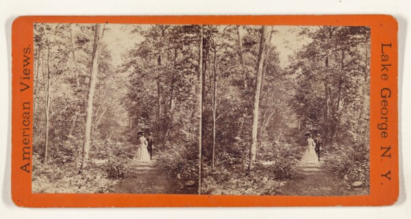 Edward and Henry T. Anthony & Co., [Unidentified couple walking down a path in the woods, woman holding a parasol, at Lake George, New York]