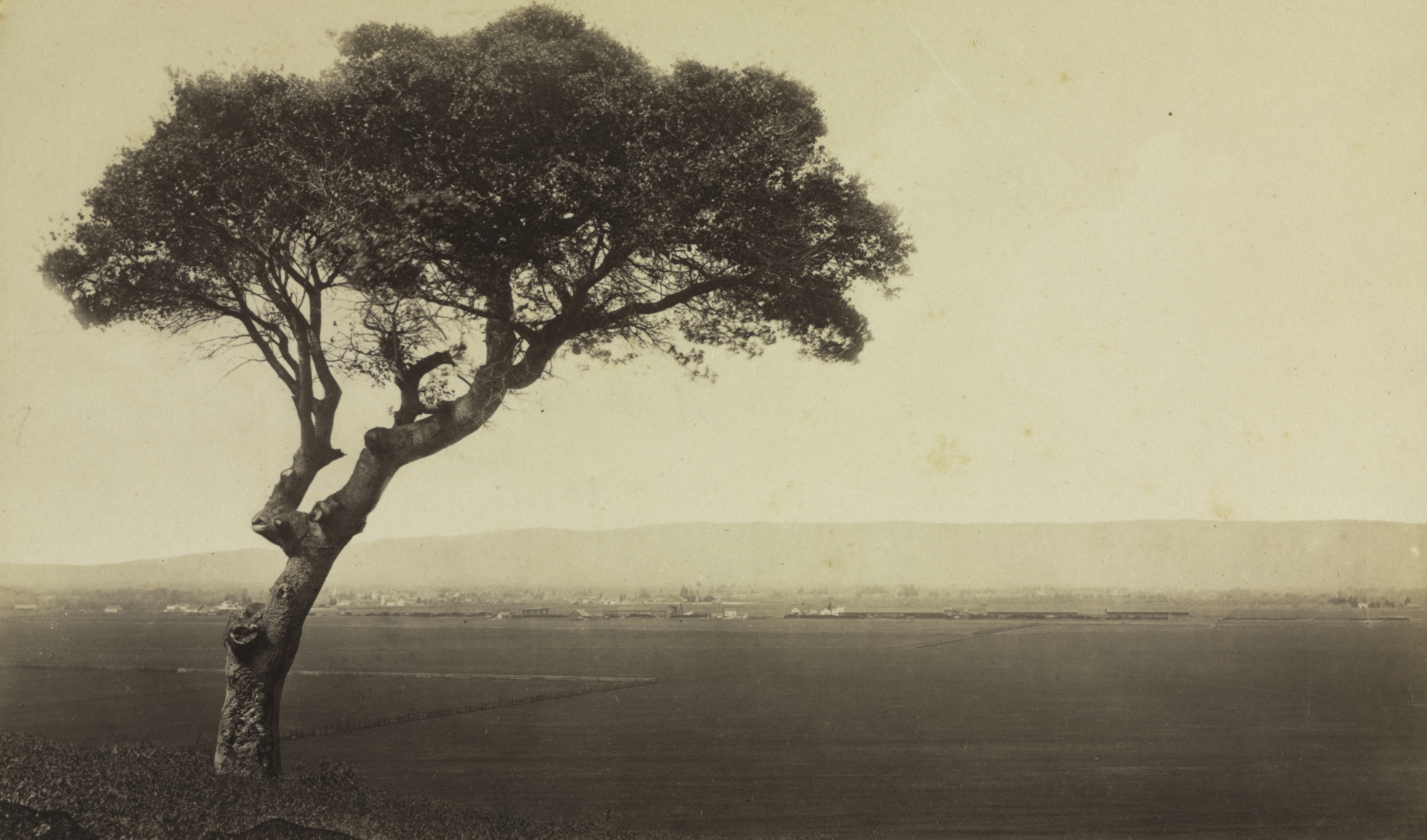 Eadweard J. Muybridge, Untitled (Landscape near Watsonville, California)