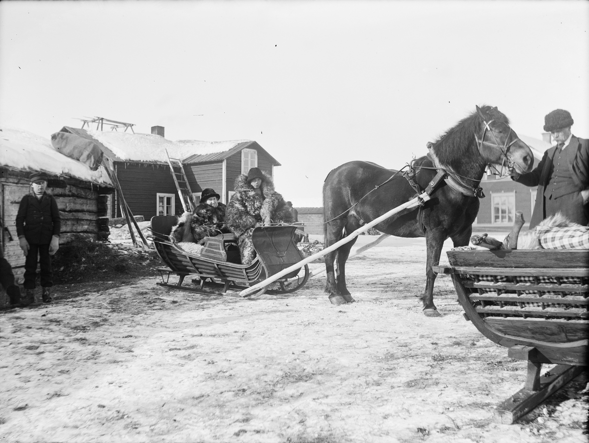 St Joseph, Horse and Sledding