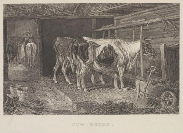 Unknown, Cow House.