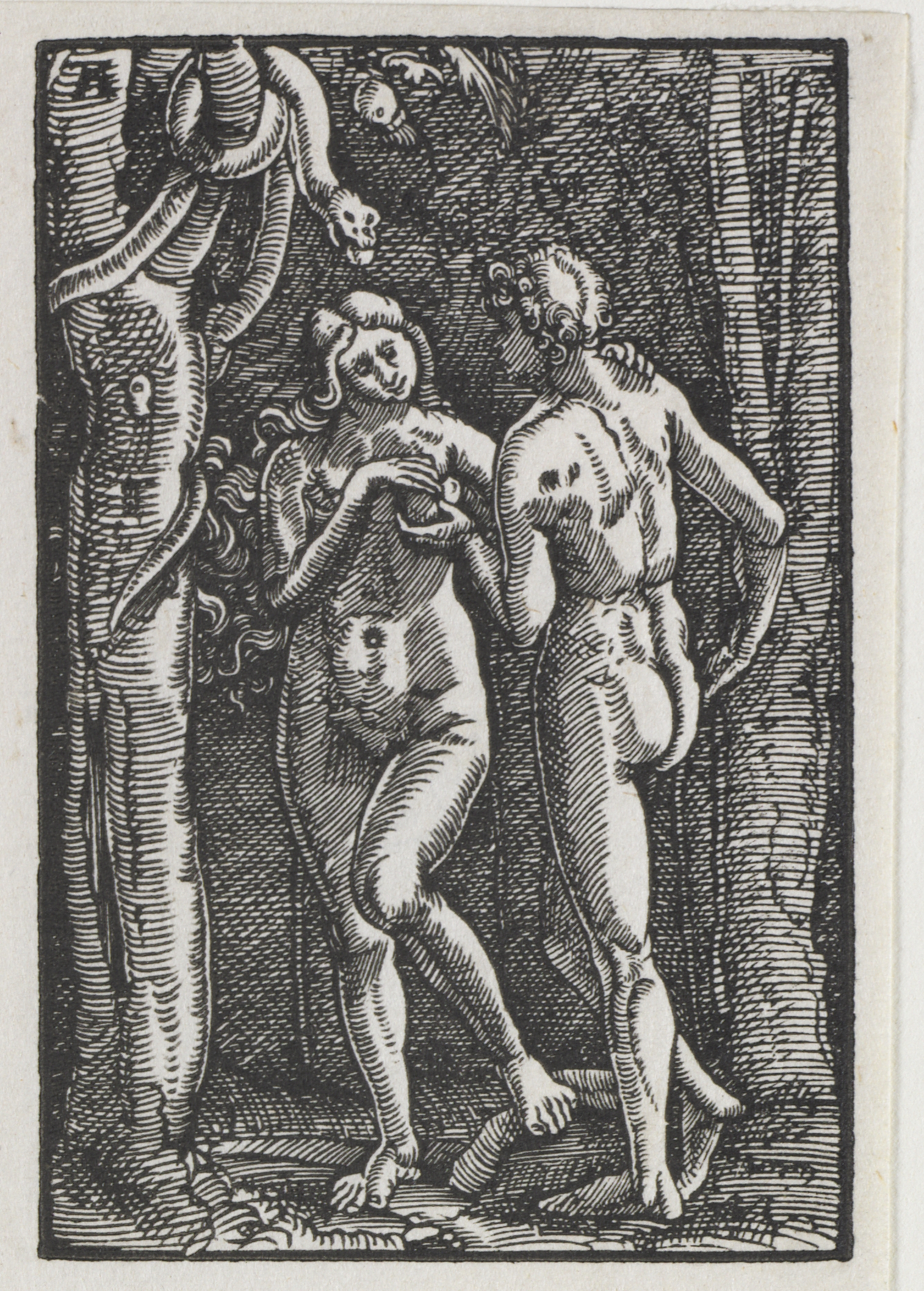 Albrecht Altdorfer, The Fall and Redemption of Man:  Adam and Eve Eating the Forbidden Fruit