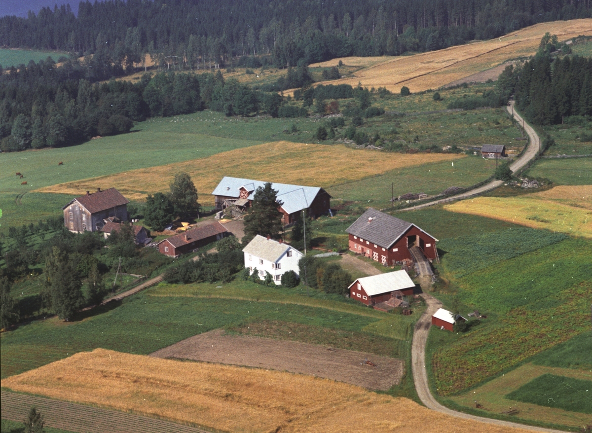Widerøes Flyveselskap A/S, Flyfoto av Breistu og Haugen, Gaupen, Hedmark.