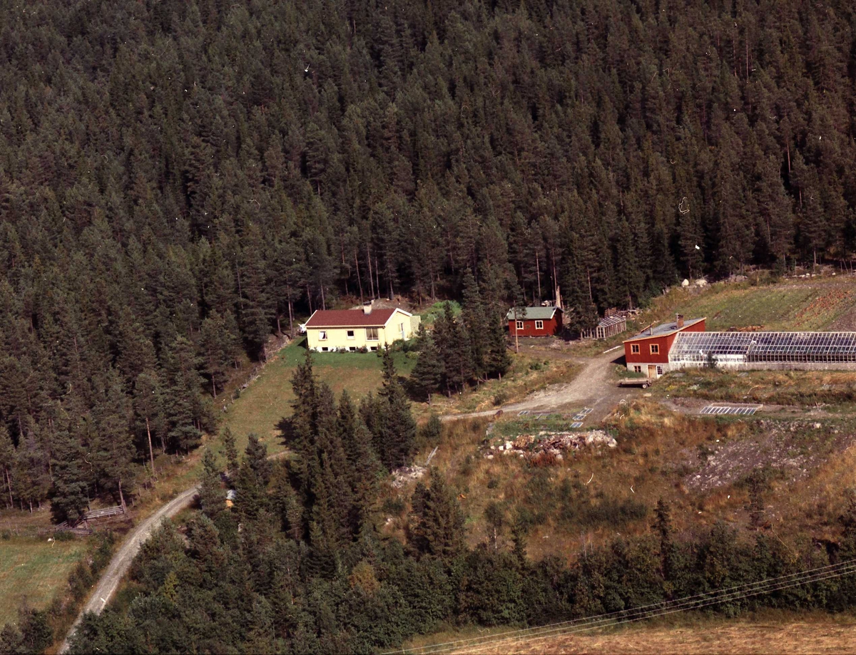 Widerøes Flyveselskap A/S, Gartneri.