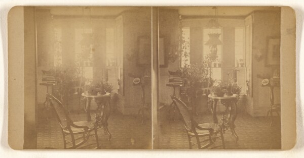 Unknown, [Parlor in brilliant light]