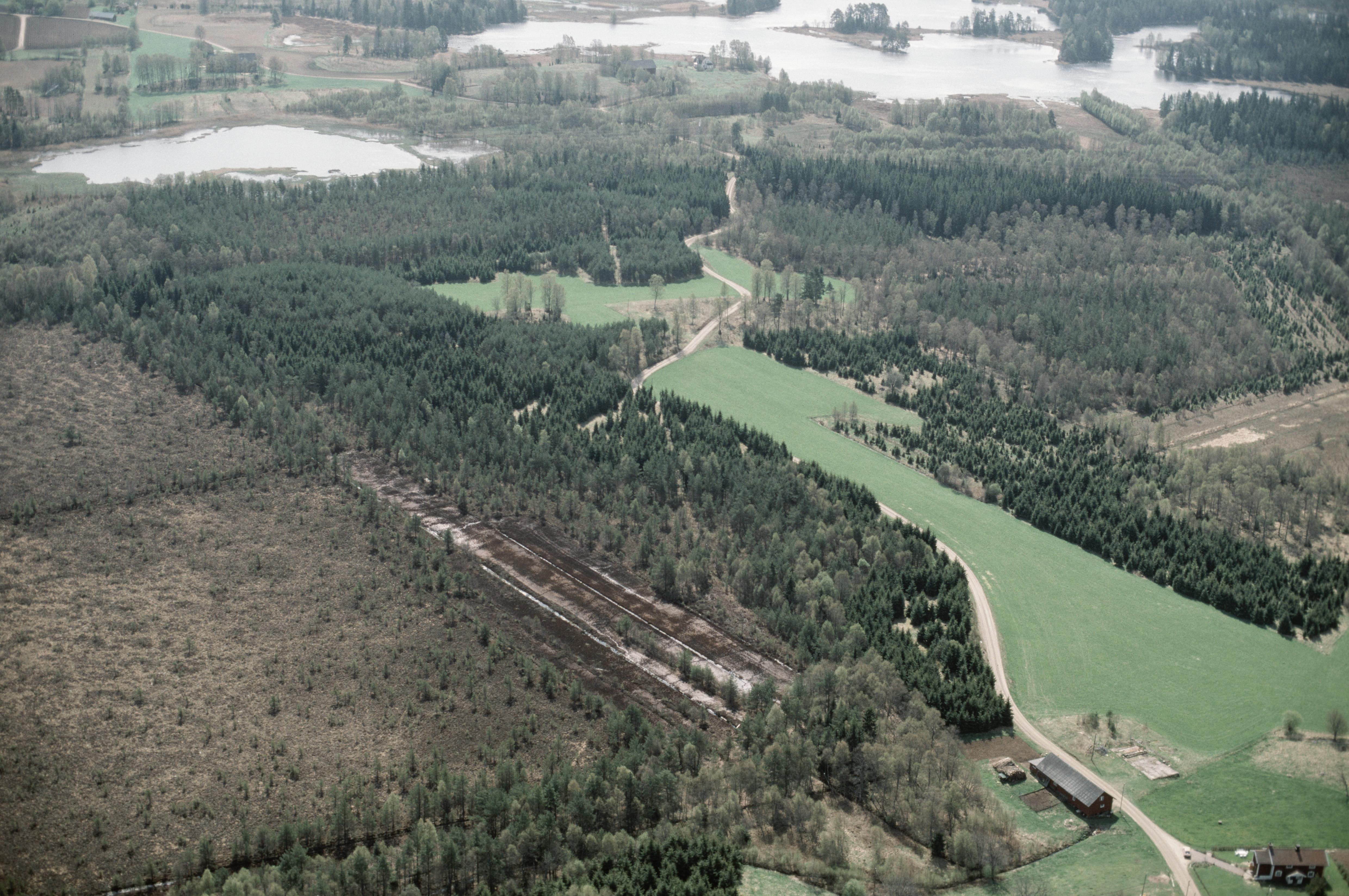 Jan Norrman, Tranemo 339:1