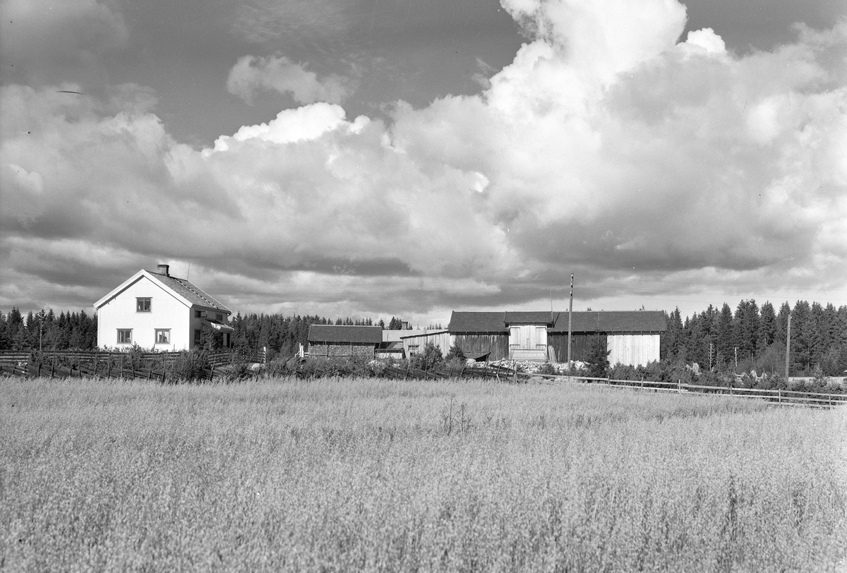 Anno Domkirkeodden, EKSTR: GARDSTUN, VIVELSTADENGEN. Se Løtenboka, bind 2. Bygdeboka fra 1953, side 450