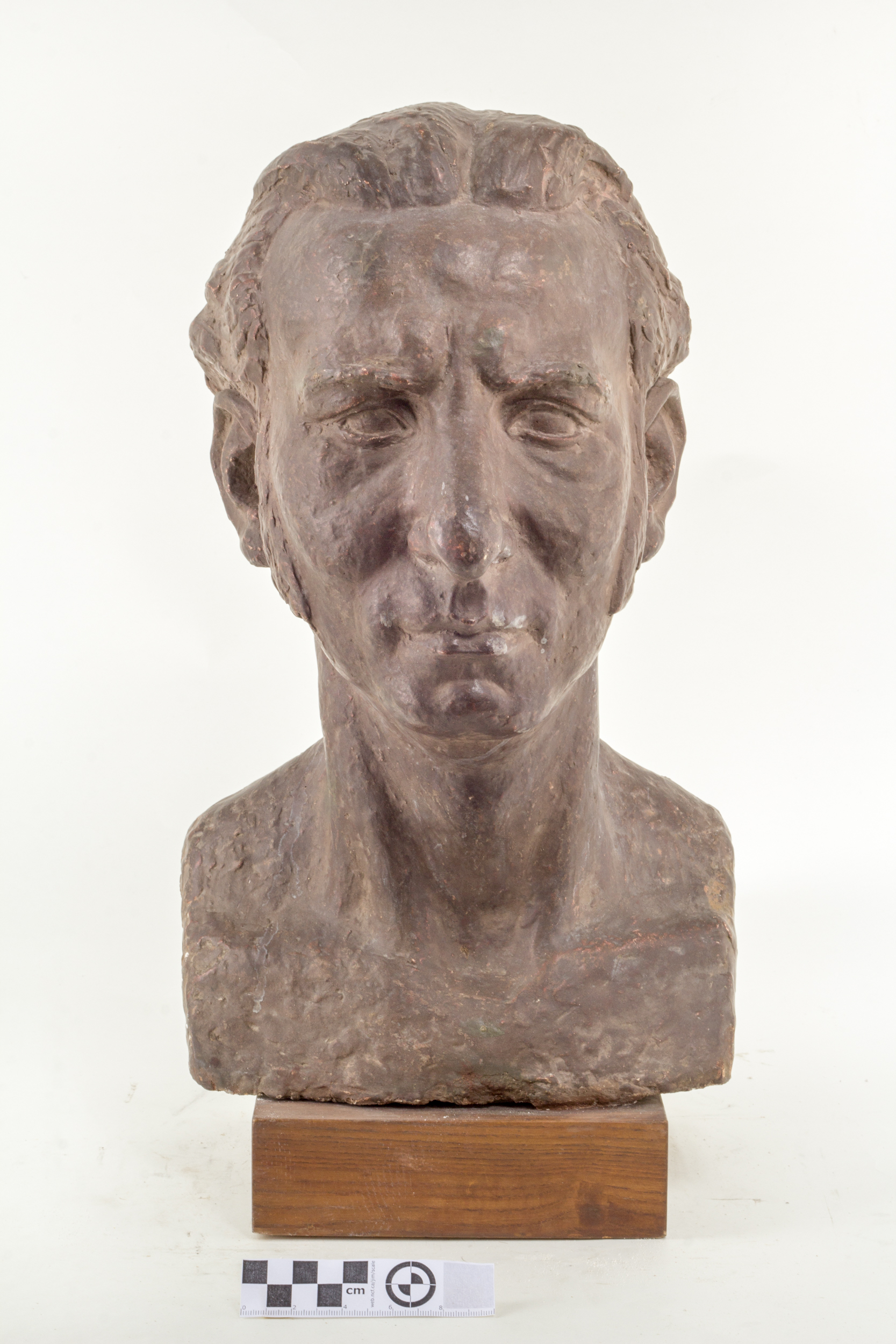 Anton (autor) Starkopf, Maalikunstnik J. Saali portree
