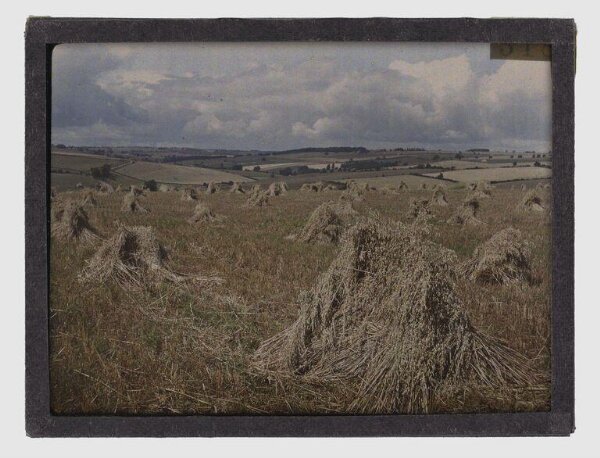 Unknown, Hayfields