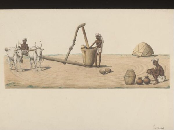 Unknown, Oil monger pressing good oil