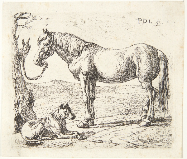 Pieter van Laer, En hest og en hund