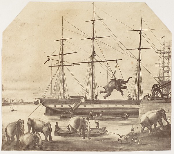 Unknown, [A Cargo of Seventy Elephants Landing from Burmah during the 1857 Mutiny]