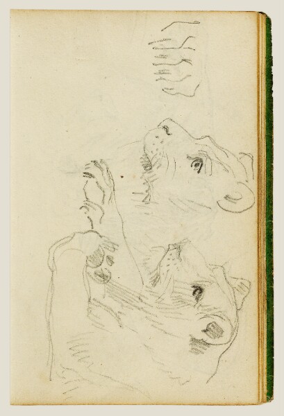 Théodore Géricault, Studies of the head and forelegs of a lioness