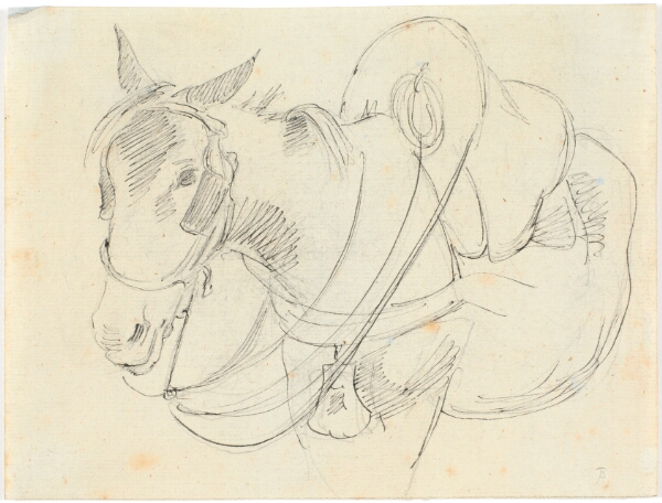 Theodor Philipsen, Muldyr. Italien