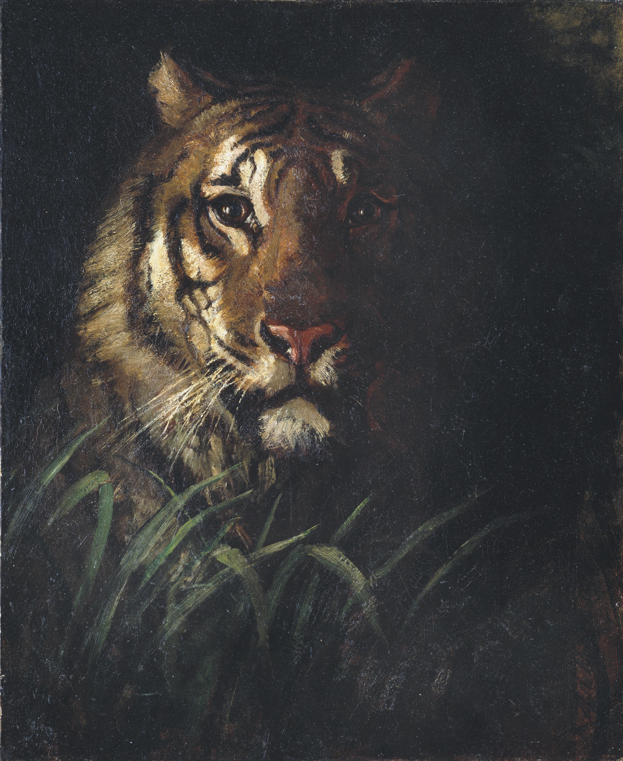 Abbott Handerson Thayer, Tiger's Head