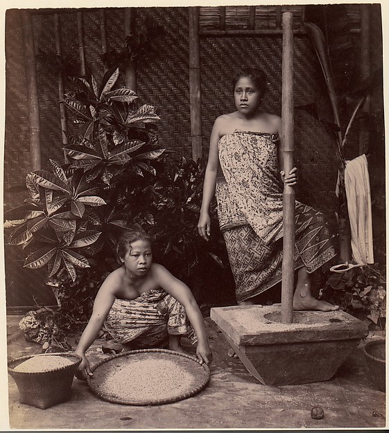 Unknown, Javanese Women Preparing Rice
