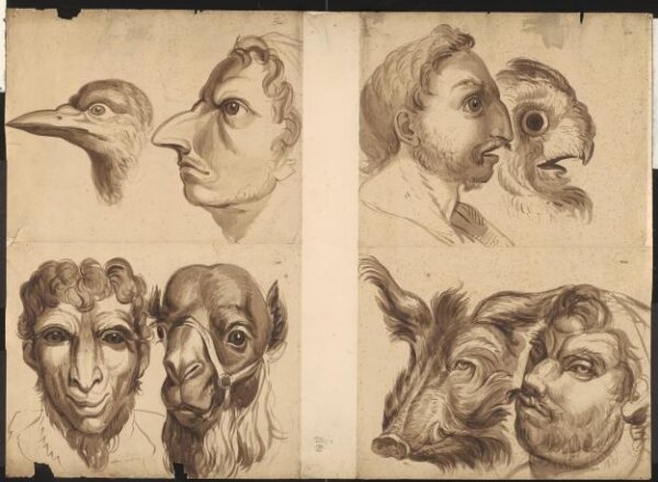 Unknown, Drawing