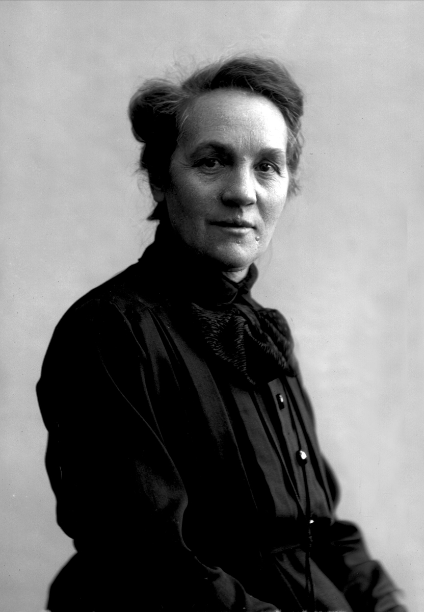 Gustav Borgen, NFB.00811