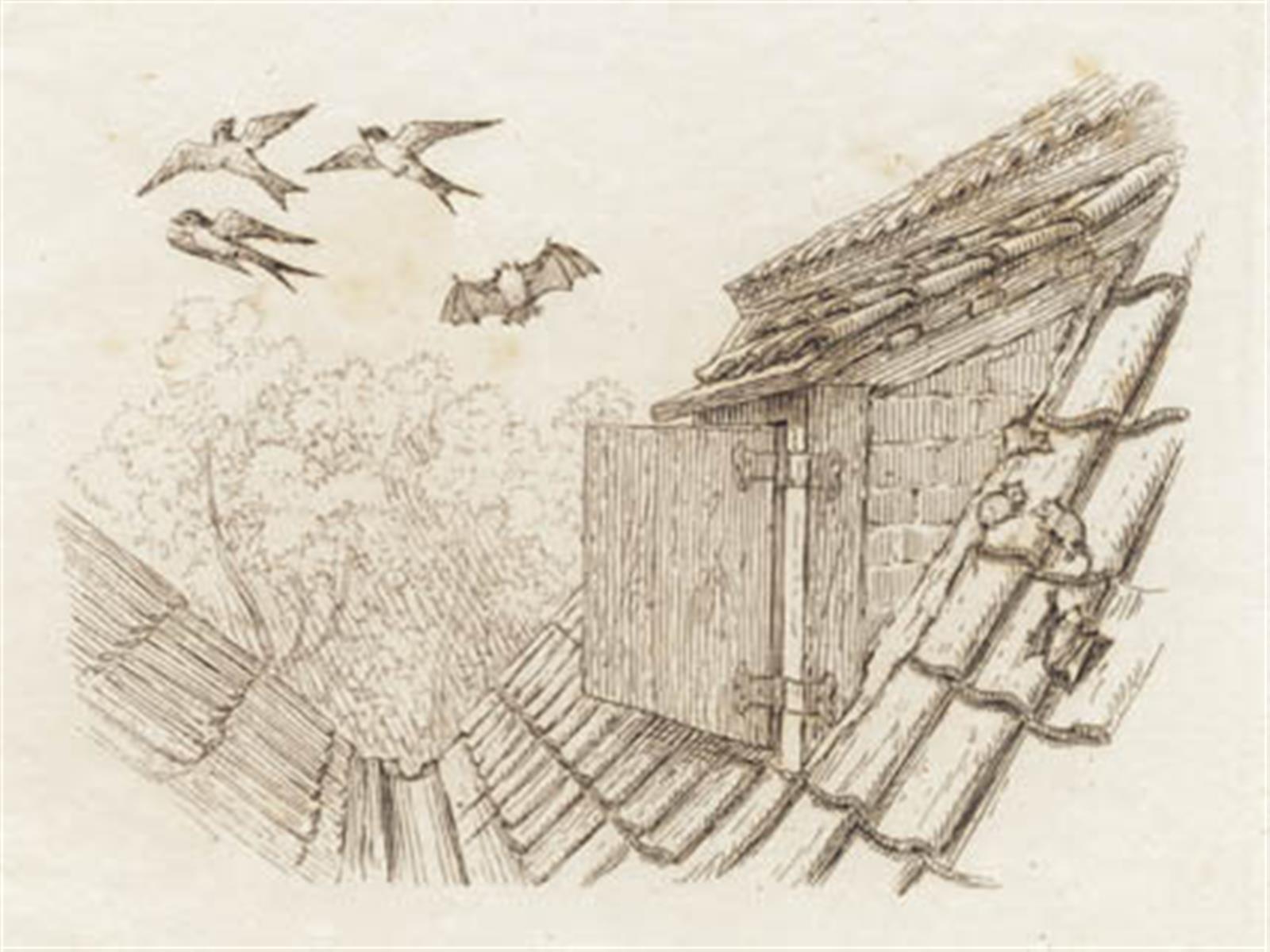 Martinus Rørbye, Illustration til "Halvhundrede Fabler for Børn" af Hey