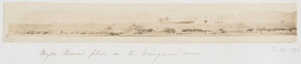 Unknown, Major Nixon's place on the Wanganui river