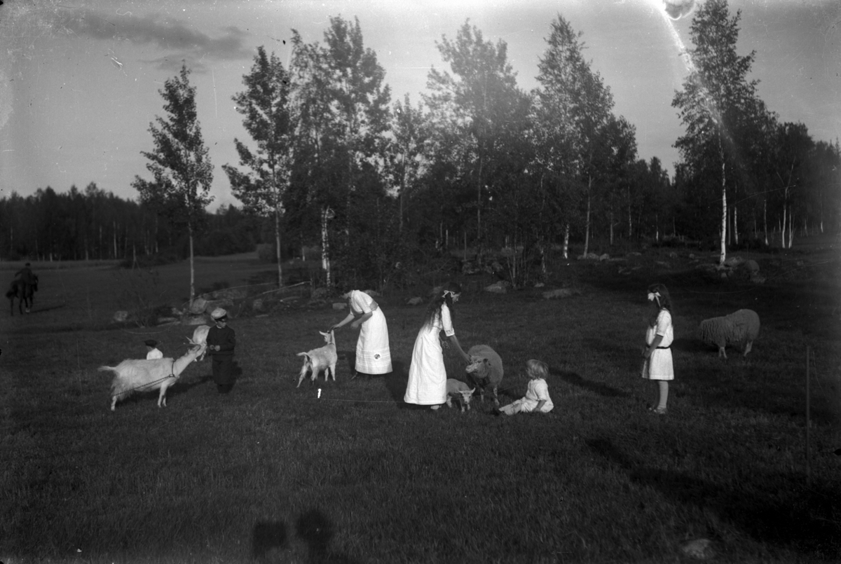 Ester Pettersson, Six children among sheep and goats.
