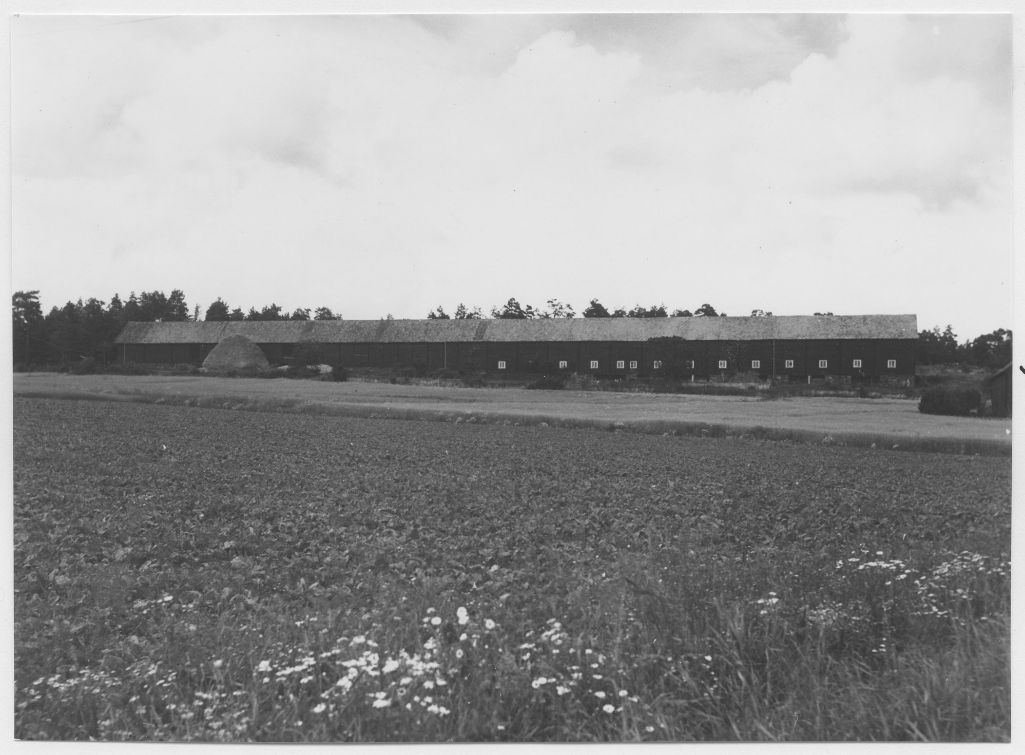 Mårten Sjöbeck, Källsåker, ladugård