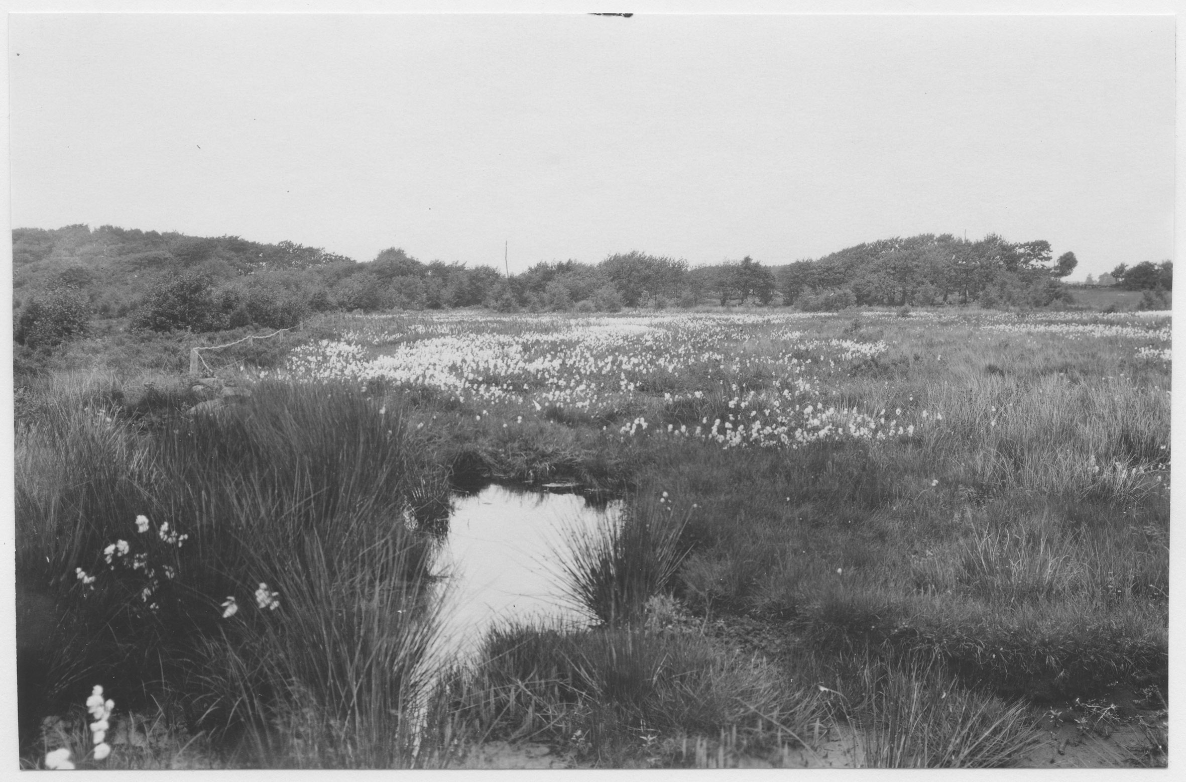 Mårten Sjöbeck, Ås