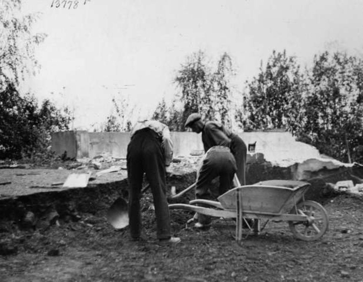 Anders Beer Wilse, -8331