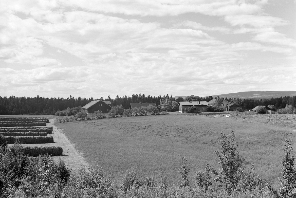 Anno Domkirkeodden, EKSTR: GARDSTUN, SKØIEN, LØTEN. BILDET IKKE BRUKT I LØTENBØKENE. Men se Løtenboka, bind 3. Bygdeboka fra 1955, side 118 for omtale av gården.
