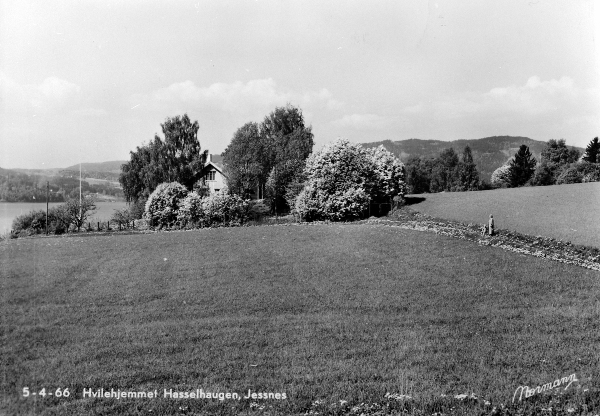 Anno Domkirkeodden, Hasselhaugen hvilehjem, Jessnes, Ringsaker.