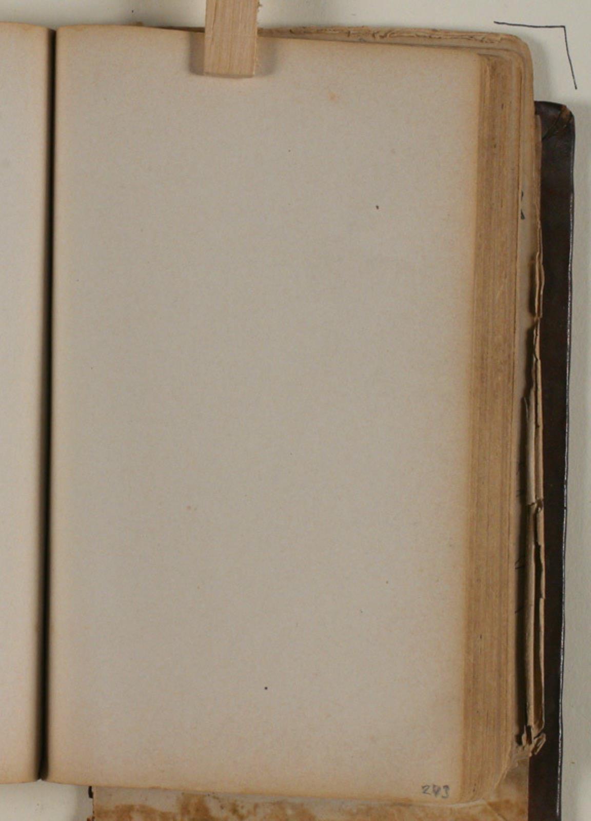 Niels Larsen Stevns, Blank