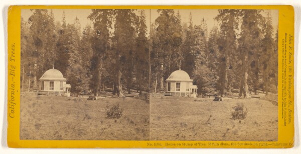 John P. Soule, House on Stump of Tree, 36 ft. in diam., the Sentinels on right. - Calaveras Co.
