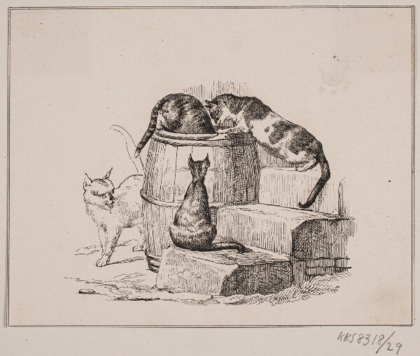 Adolph Kittendorff, Kattene