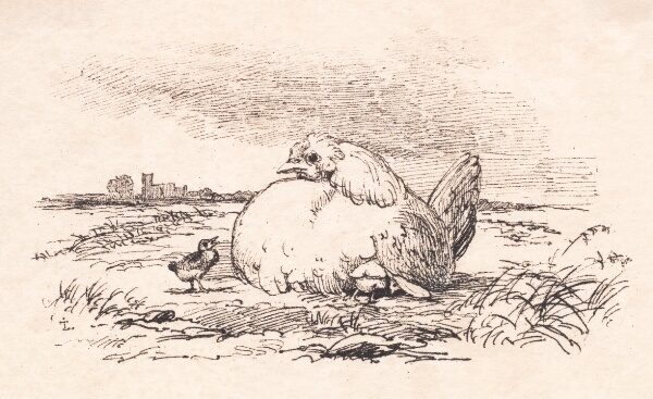 Johan Thomas Lundbye, Kyllingerne