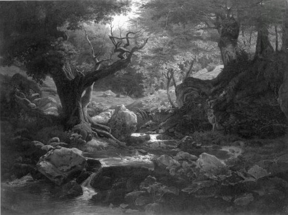 Johan Christian Dahl, Forest with brook