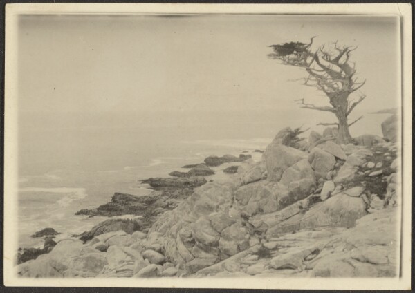 Louis Fleckenstein, [Landscape]