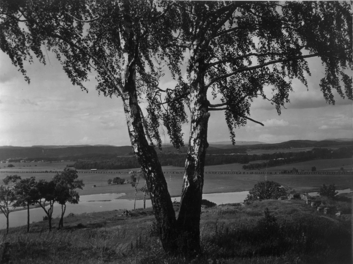 Anders Beer Wilse, Drakt, Fra Slottsfjellet, Jarlsberg mot Sem, Oversiktsbilde